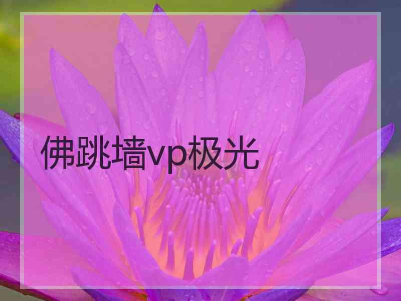 佛跳墙vp极光