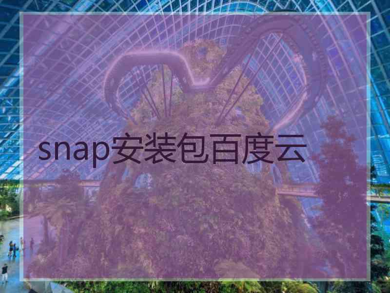 snap安装包百度云