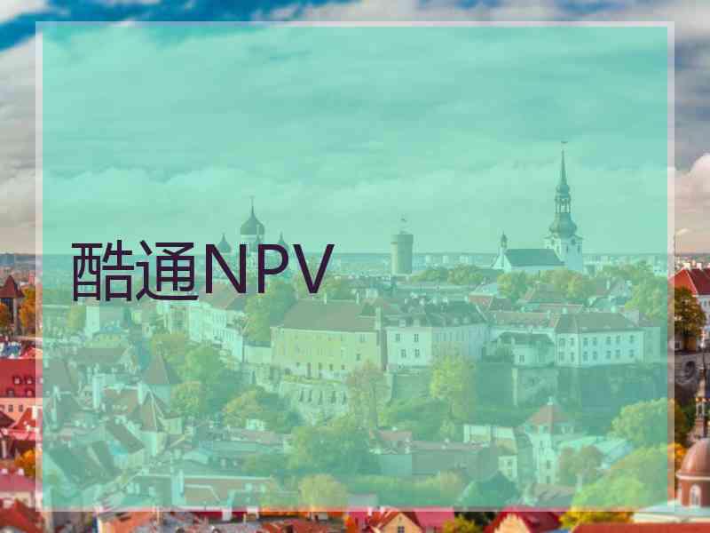 酷通NPV