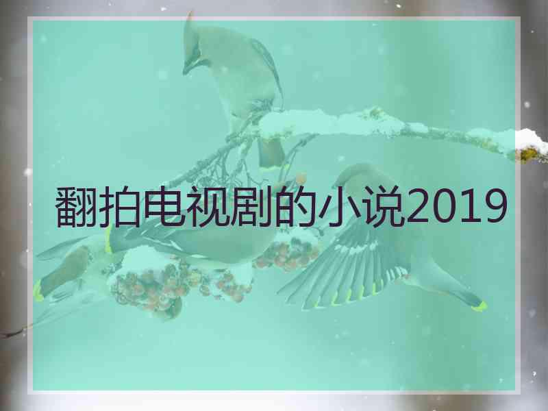 翻拍电视剧的小说2019