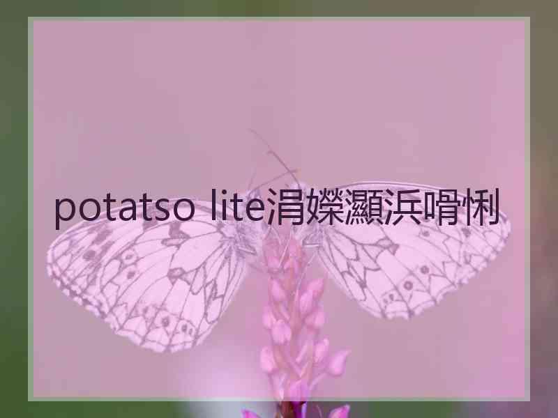 potatso lite涓嬫灦浜嗗悧