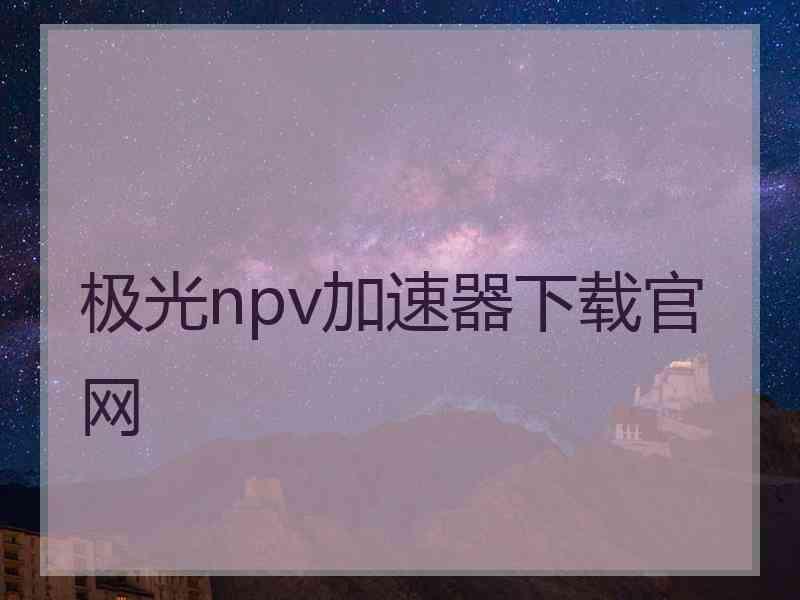 极光npv加速器下载官网