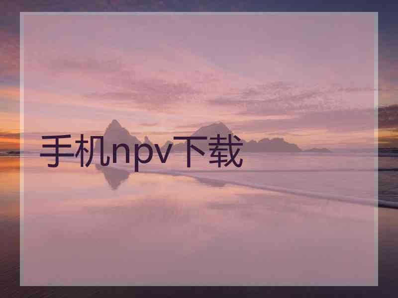 手机npv下载