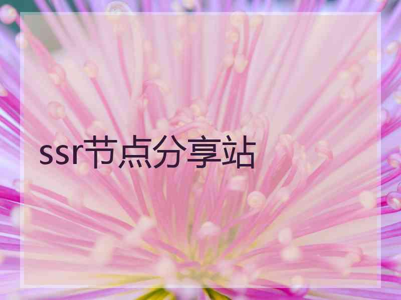 ssr节点分享站