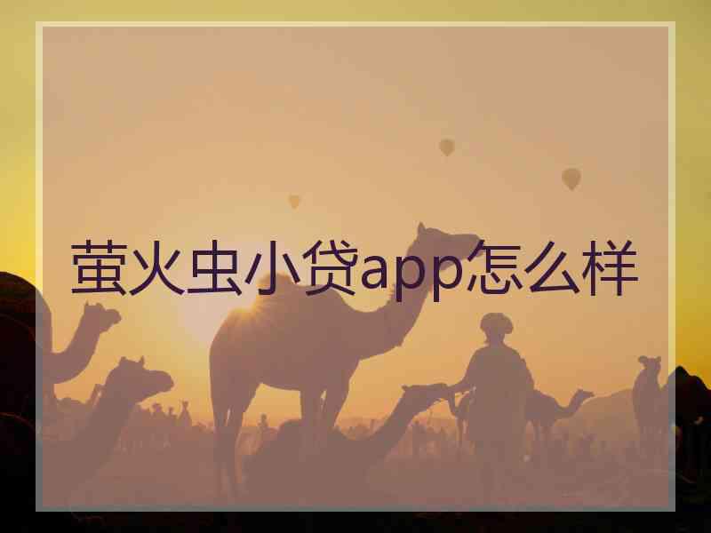 萤火虫小贷app怎么样