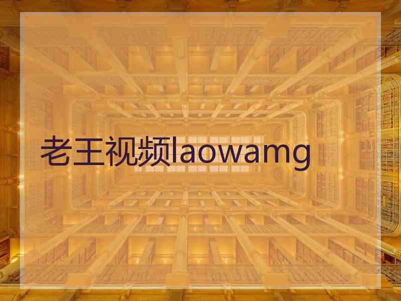 老王视频laowamg