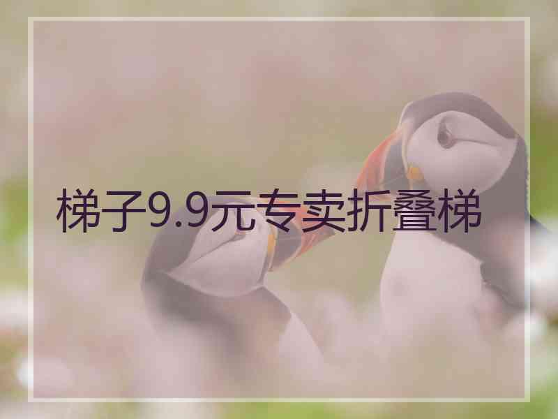 梯子9.9元专卖折叠梯