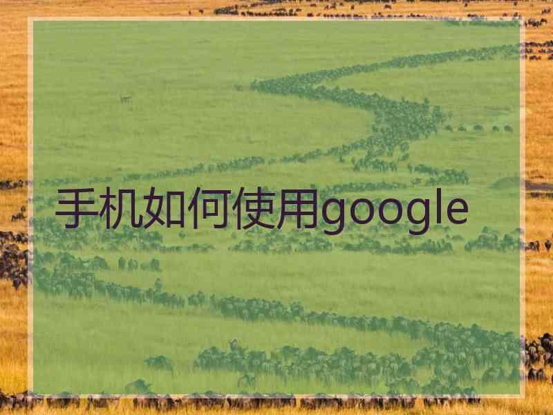 手机如何使用google