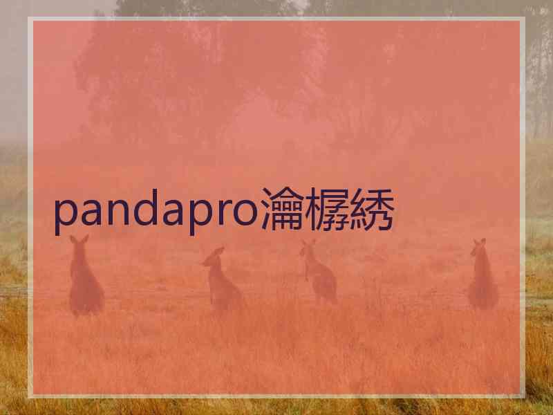 pandapro瀹樼綉