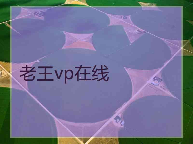 老王vp在线