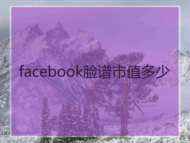 facebook脸谱市值多少