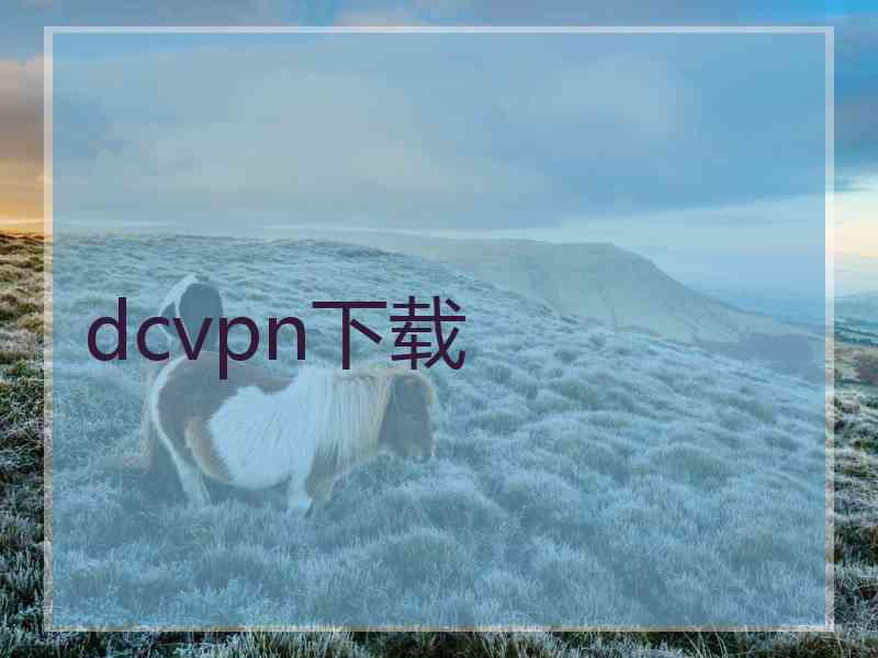 dcvpn下载