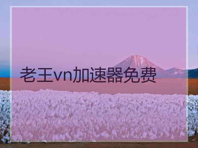 老王vn加速器免费