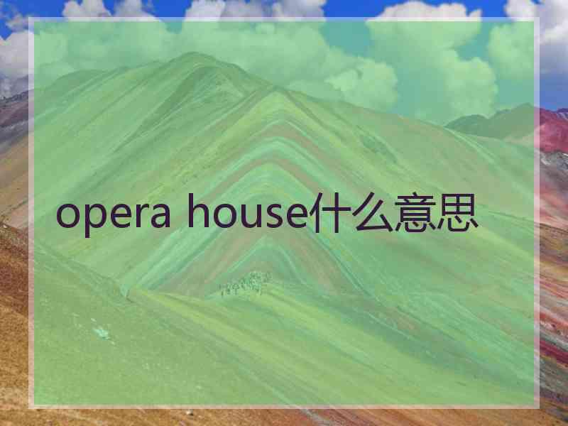 opera house什么意思