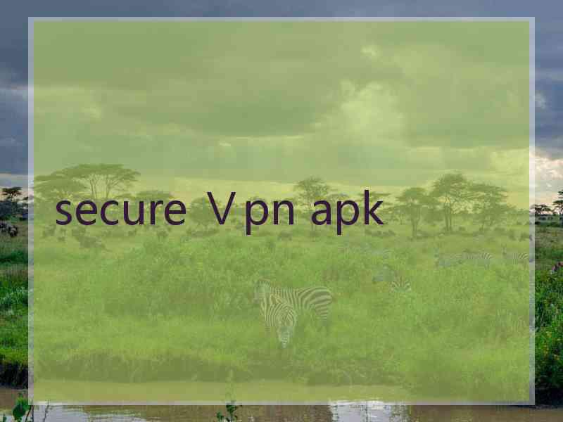 secure Ⅴpn apk