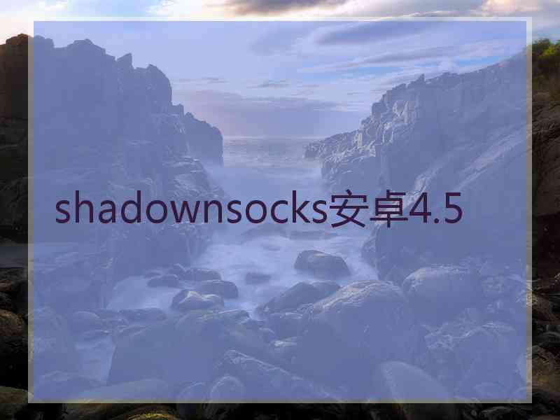 shadownsocks安卓4.5