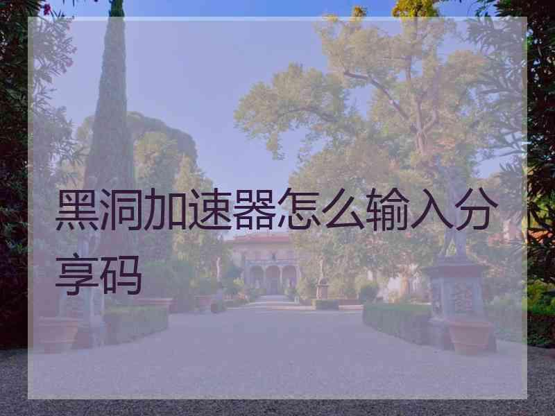 黑洞加速器怎么输入分享码