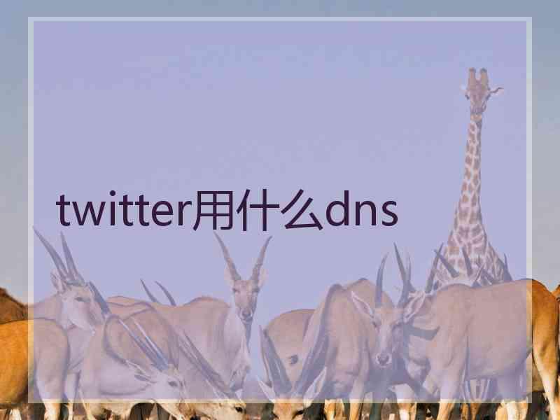 twitter用什么dns