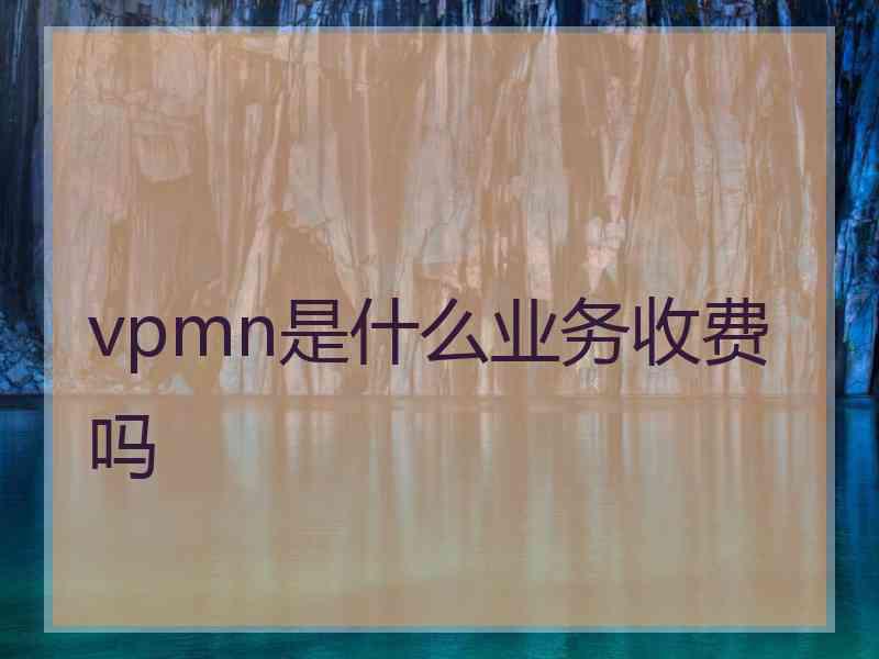 vpmn是什么业务收费吗