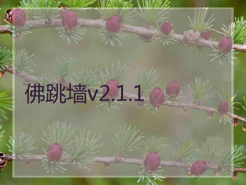 佛跳墙v2.1.1