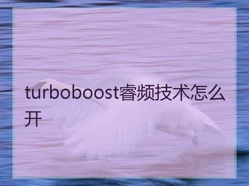 turboboost睿频技术怎么开