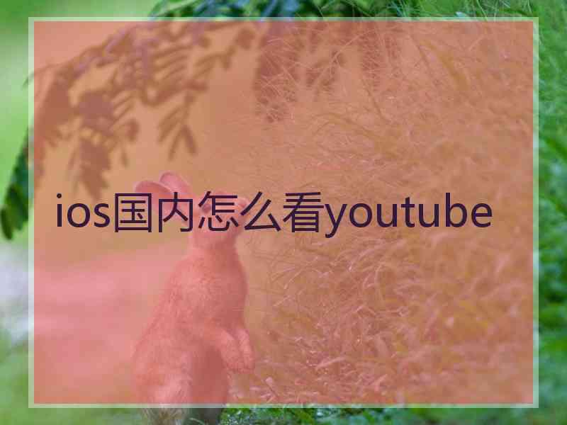 ios国内怎么看youtube