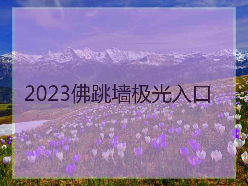 2023佛跳墙极光入口