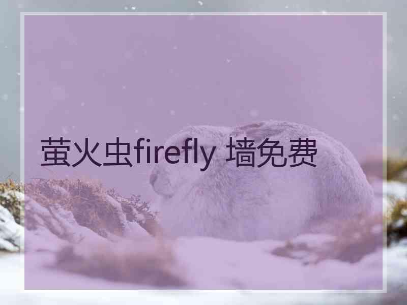 萤火虫firefly 墙免费