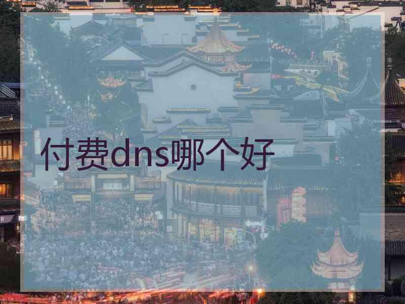 付费dns哪个好