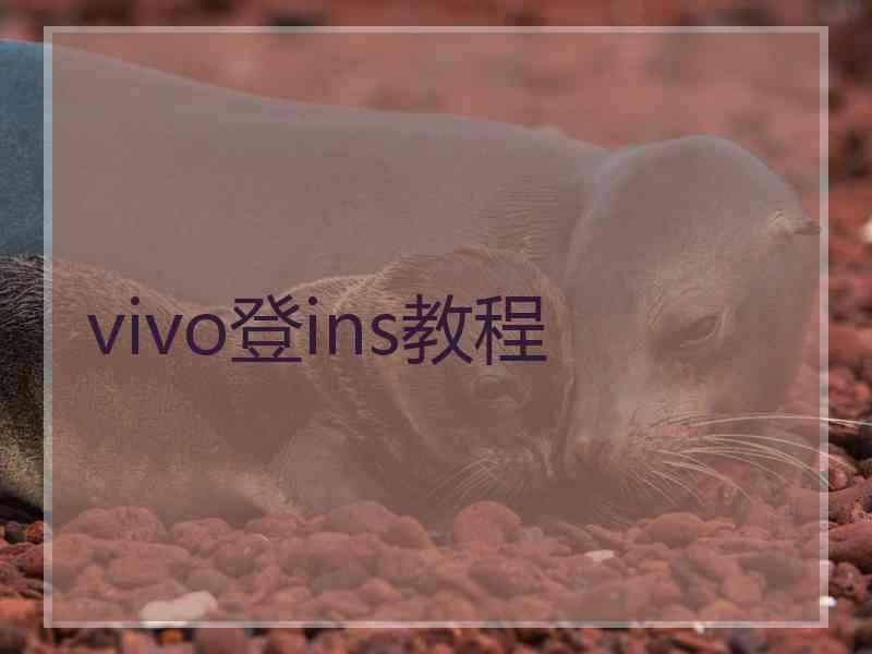 vivo登ins教程