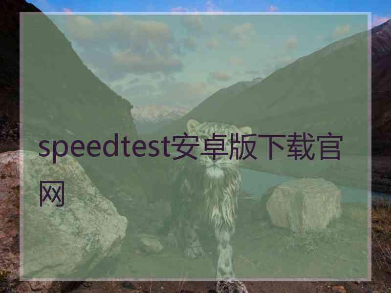 speedtest安卓版下载官网