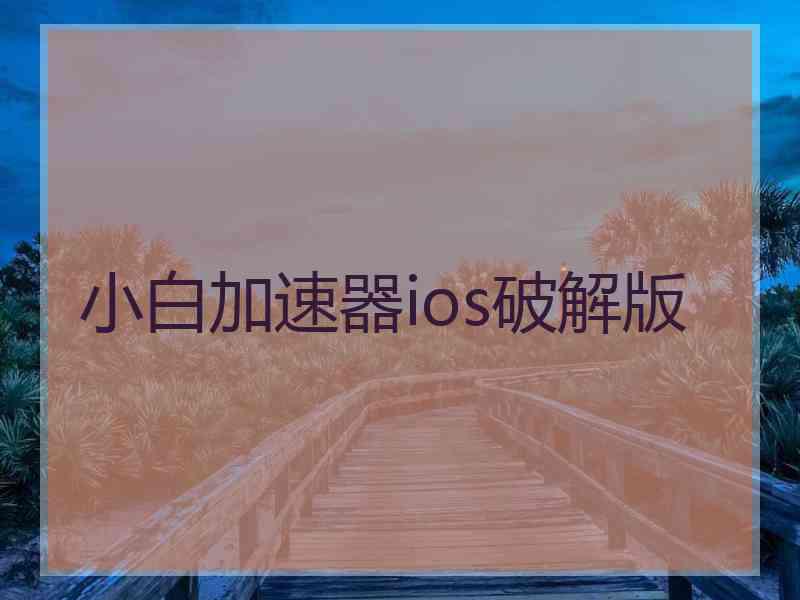 小白加速器ios破解版