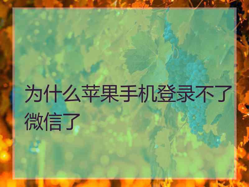 为什么苹果手机登录不了微信了