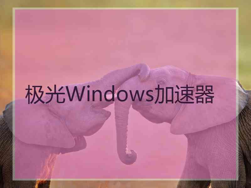 极光Windows加速器