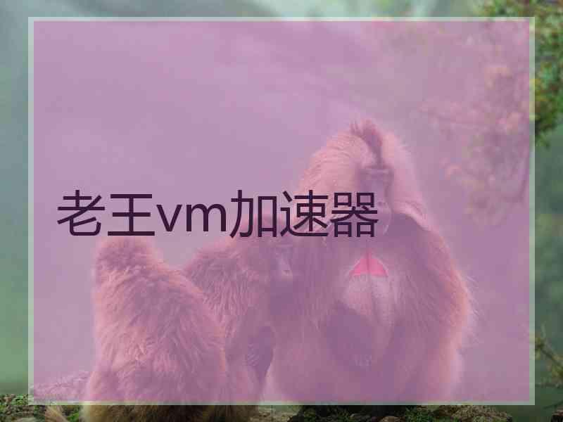 老王vm加速器