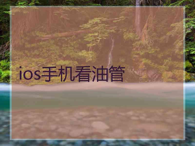 ios手机看油管