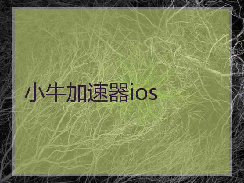 小牛加速器ios