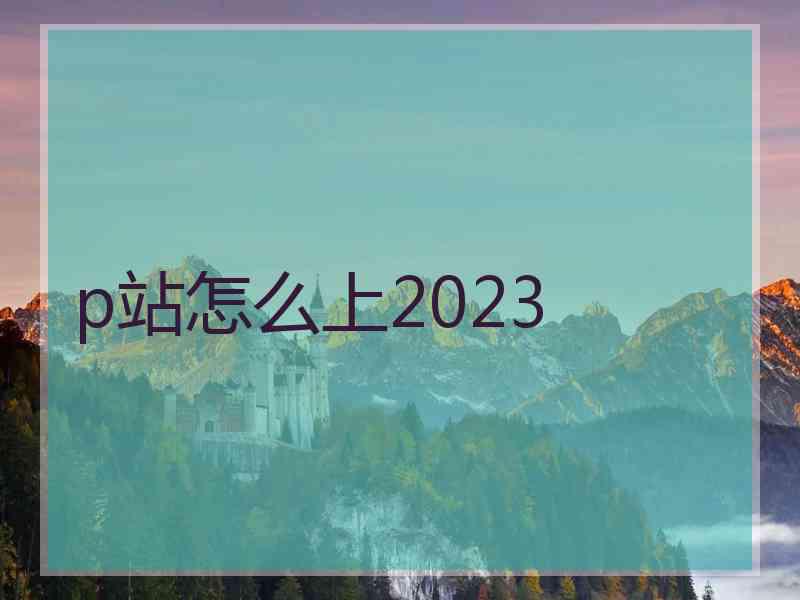 p站怎么上2023