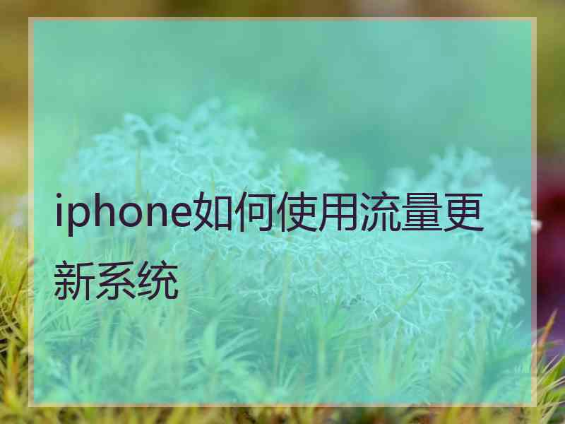 iphone如何使用流量更新系统