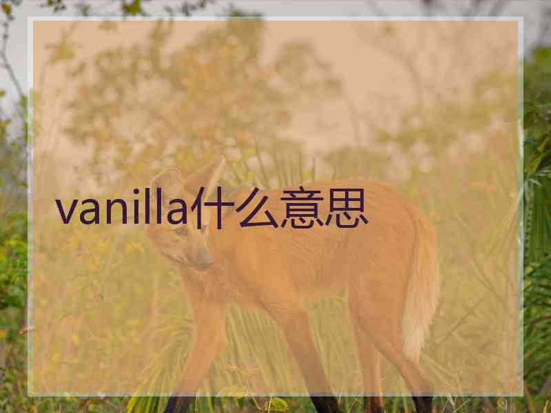 vanilla什么意思