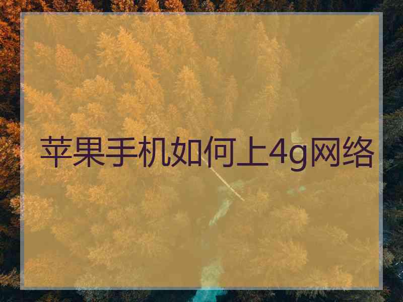 苹果手机如何上4g网络