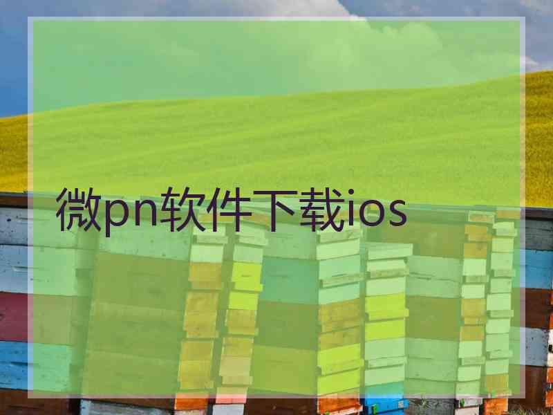 微pn软件下载ios