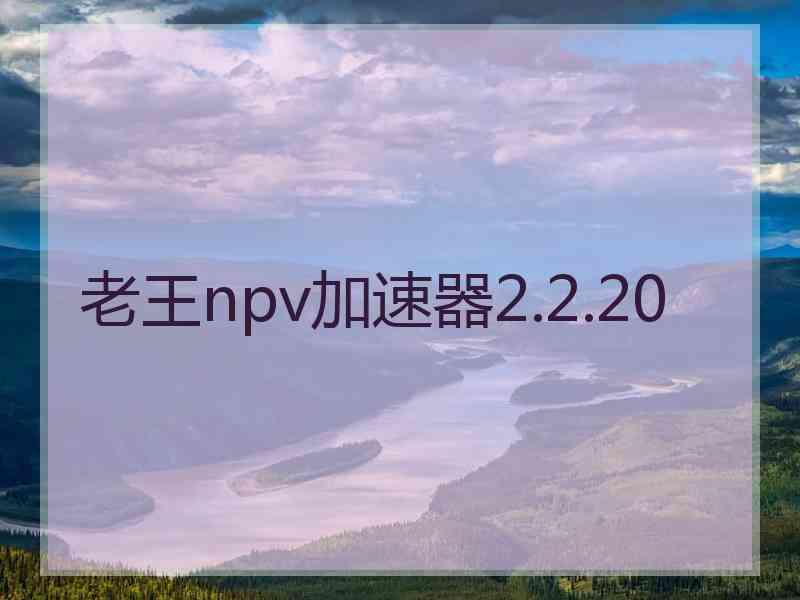 老王npv加速器2.2.20