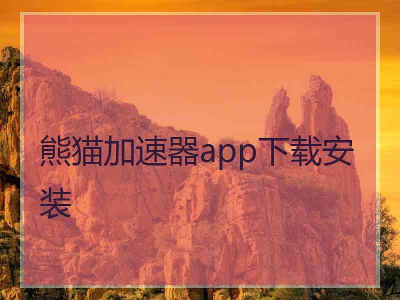 熊猫加速器app下载安装