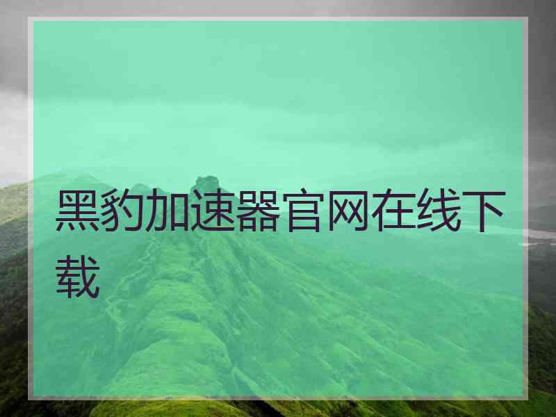 黑豹加速器官网在线下载