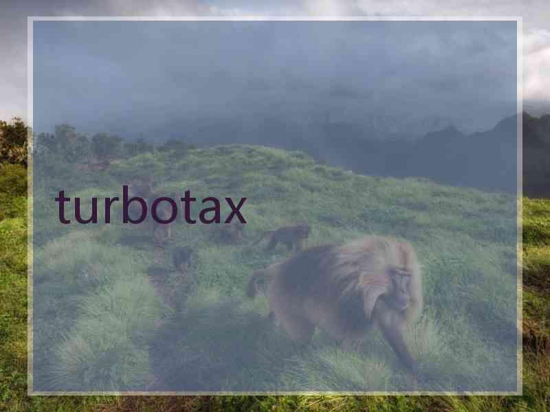 turbotax