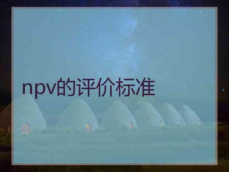 npv的评价标准