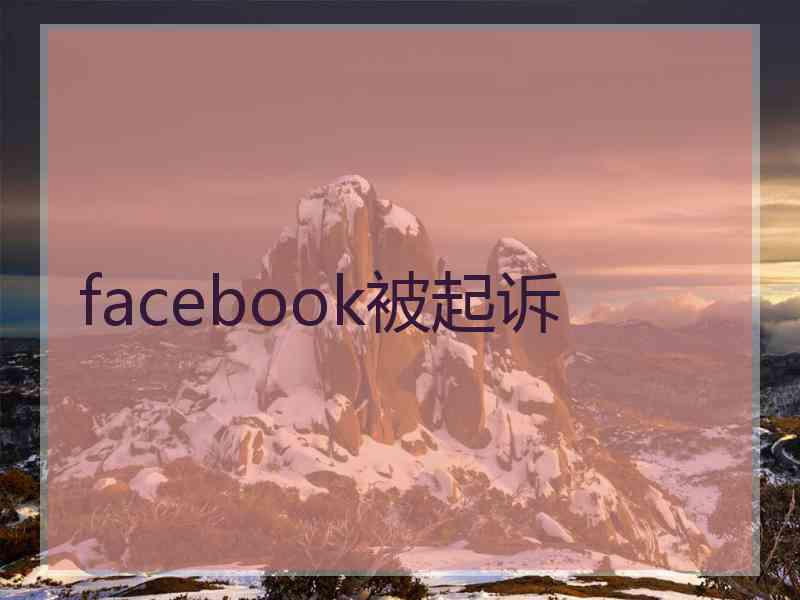 facebook被起诉