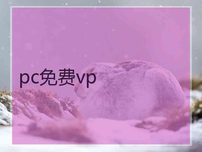 pc免费vp