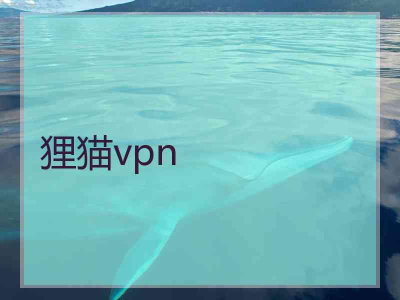 狸猫vpn